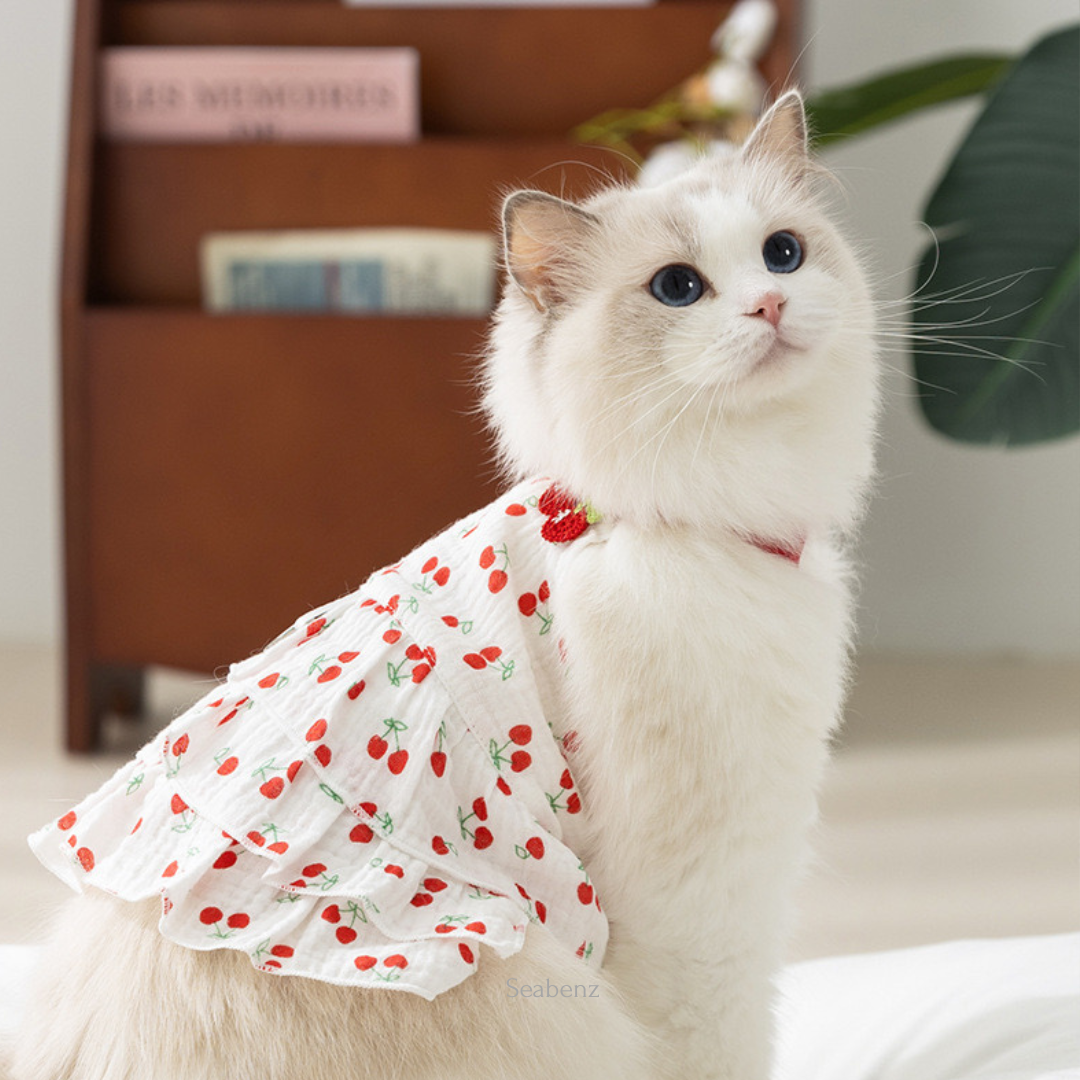 CherryPop Dress