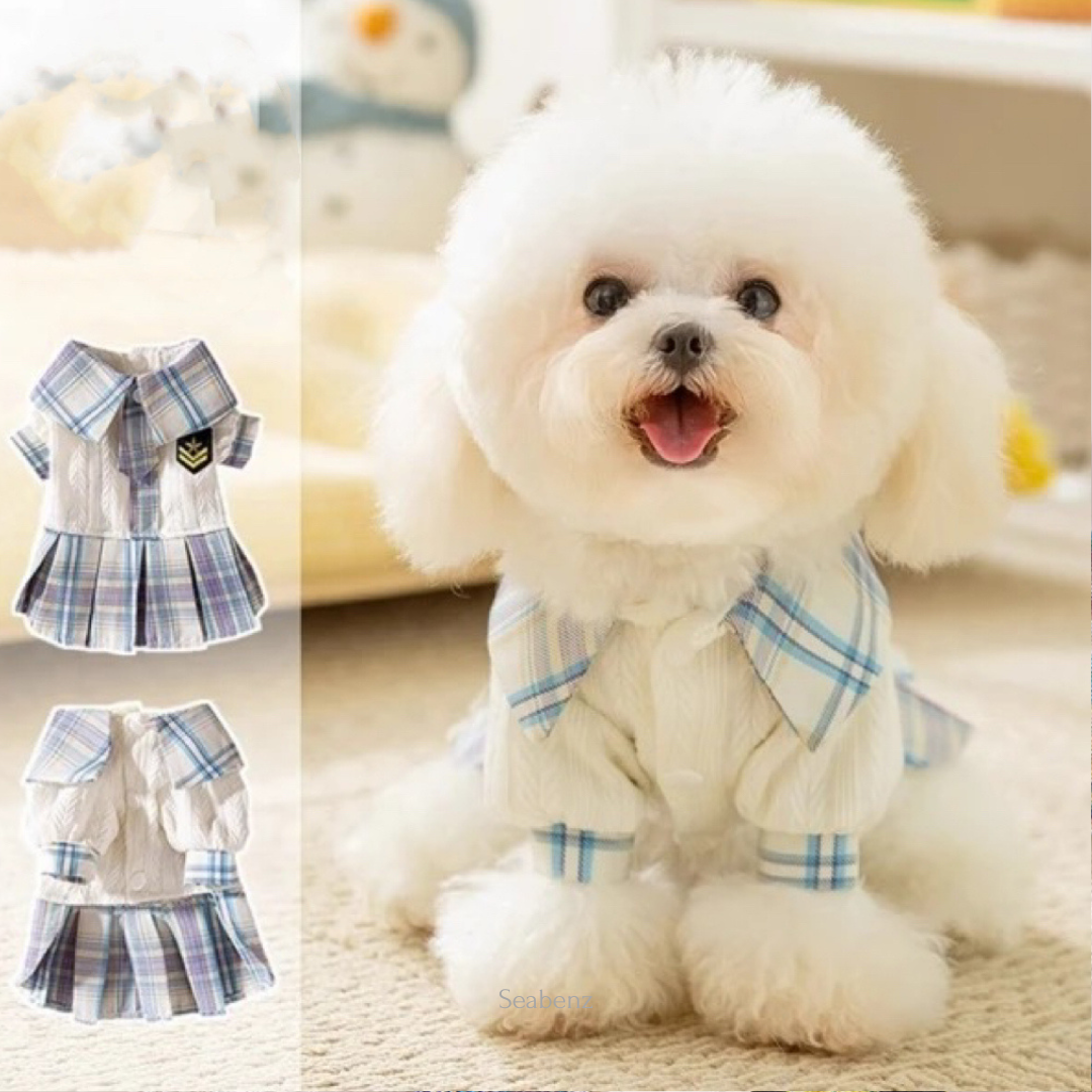 Bella Varsity Plaid Dress