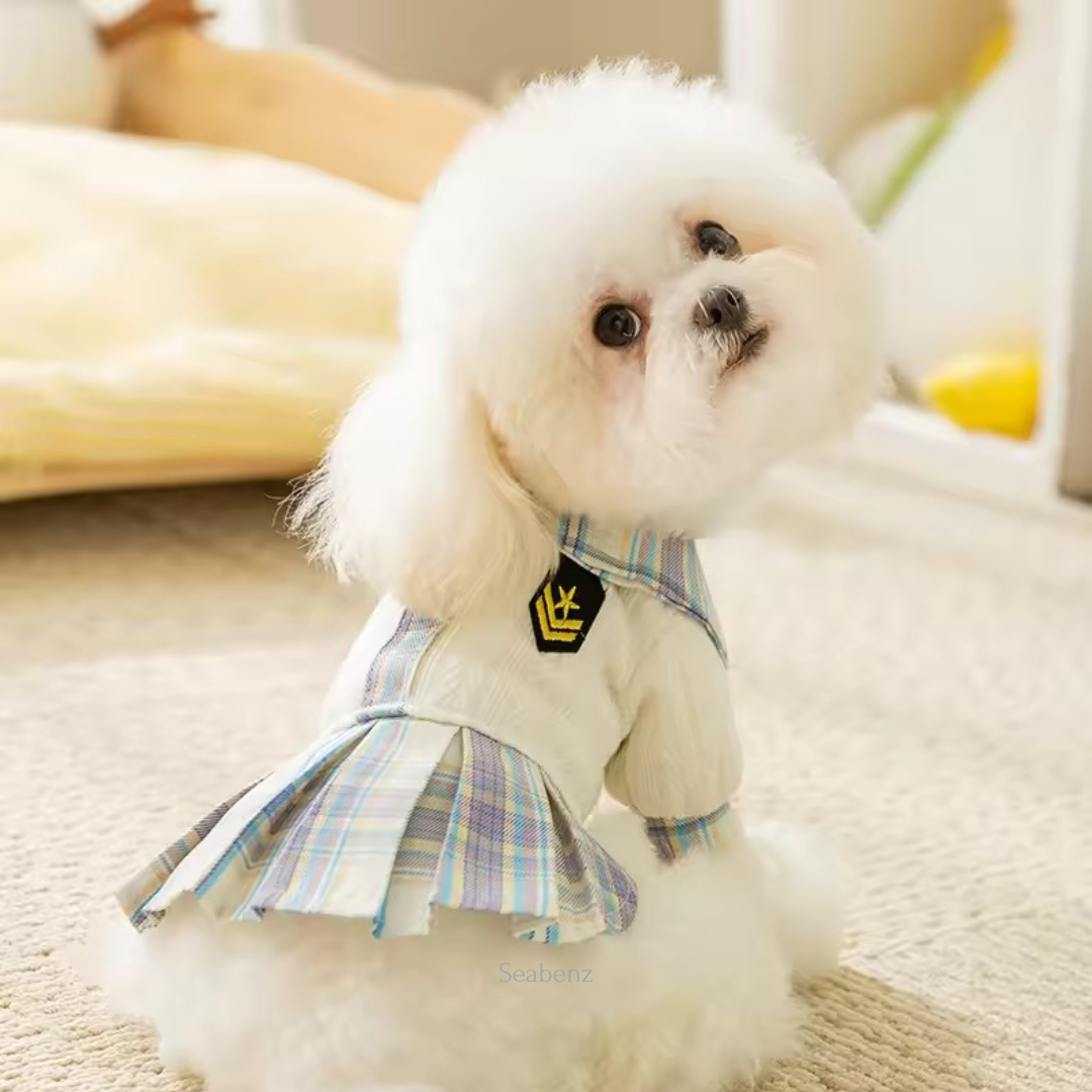 Bella Varsity Plaid Dress