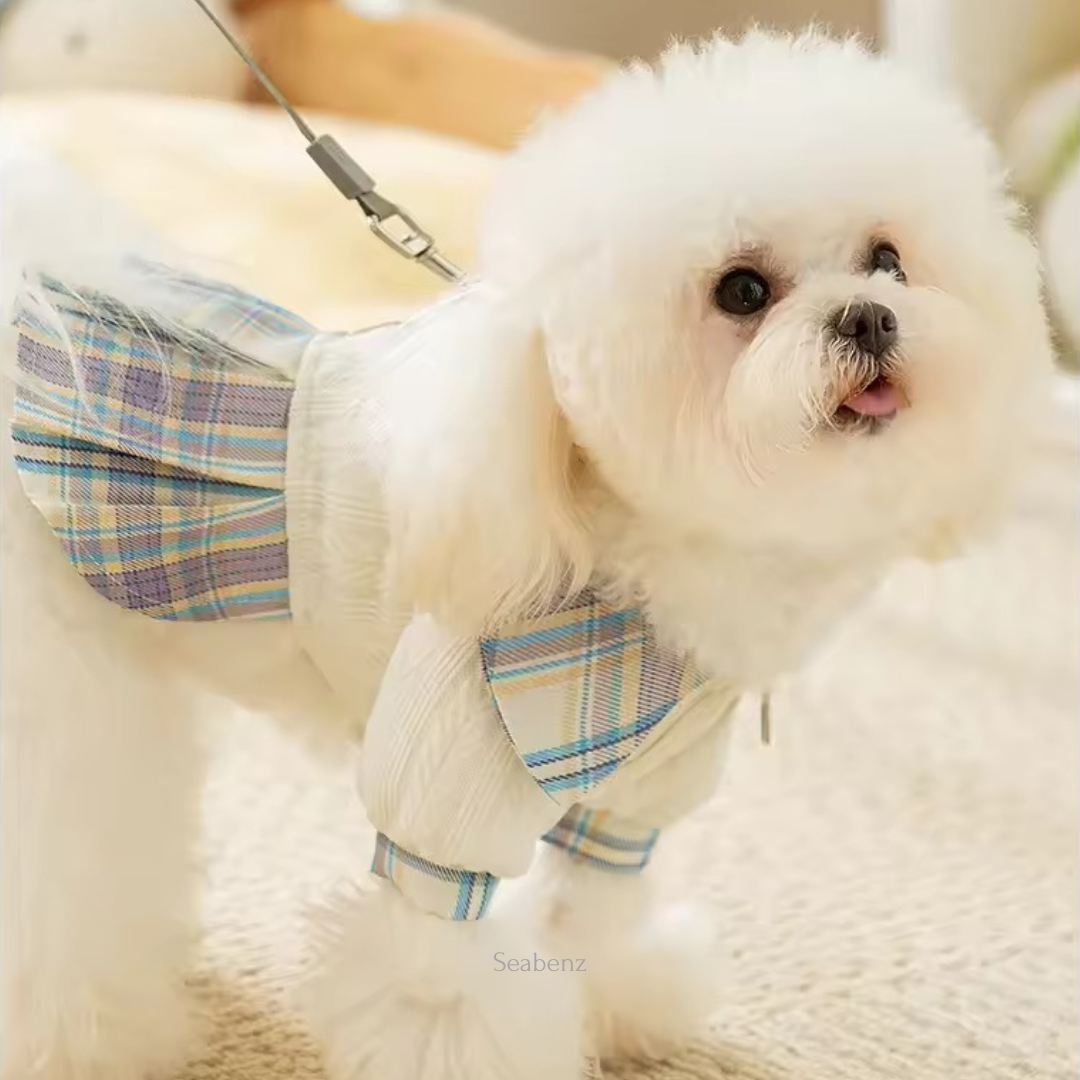 Bella Varsity Plaid Dress