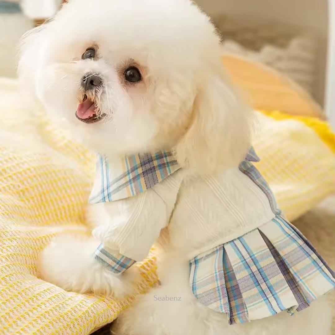 Bella Varsity Plaid Dress