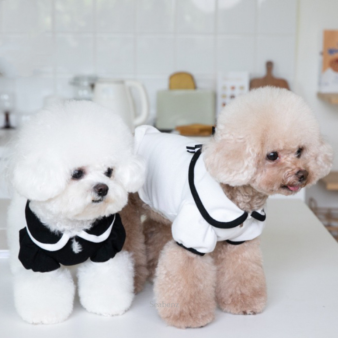 Oxford Bow Collar Clothing