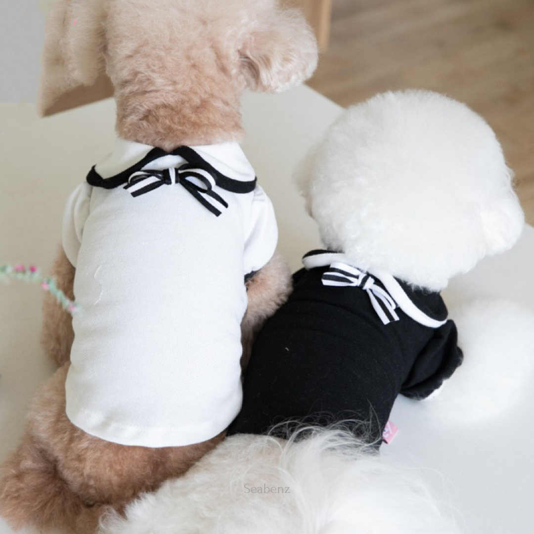 Oxford Bow Collar Clothing