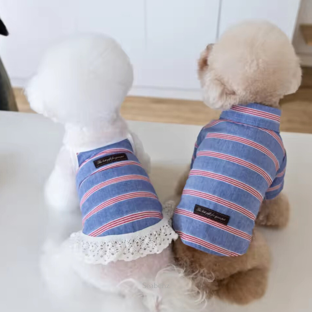 Seaside Stripe Shirt / Dress