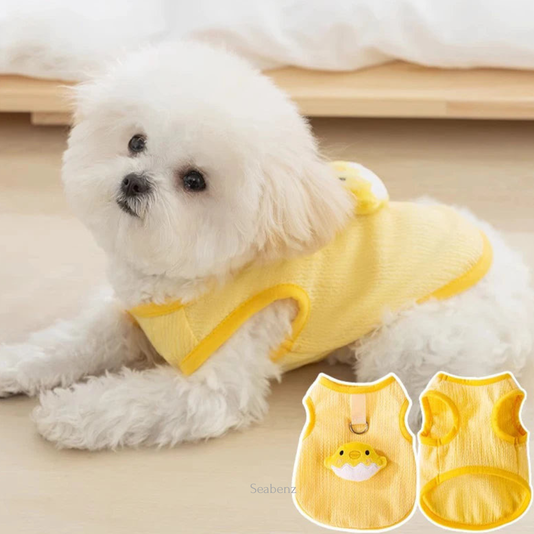 ChickiePop Summer Clothing