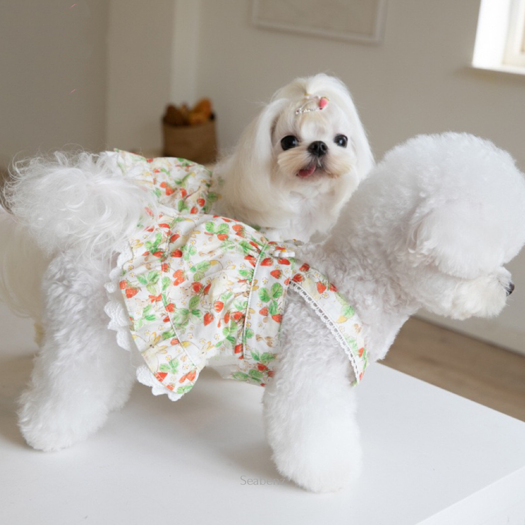 BerrySweet Strawberry Dress