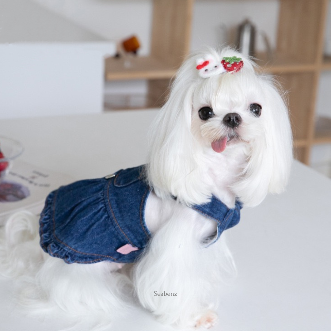 Tessa Denim Dress