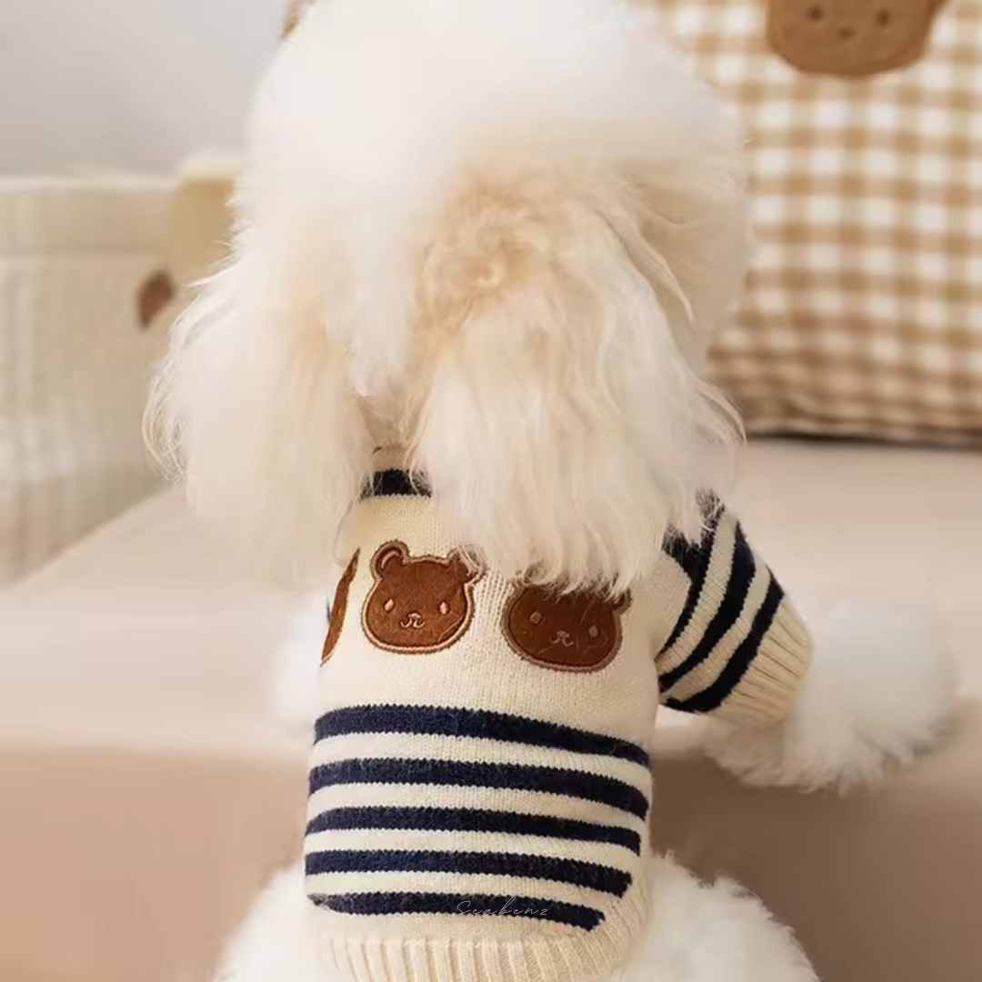 Teddy Trio Sweater