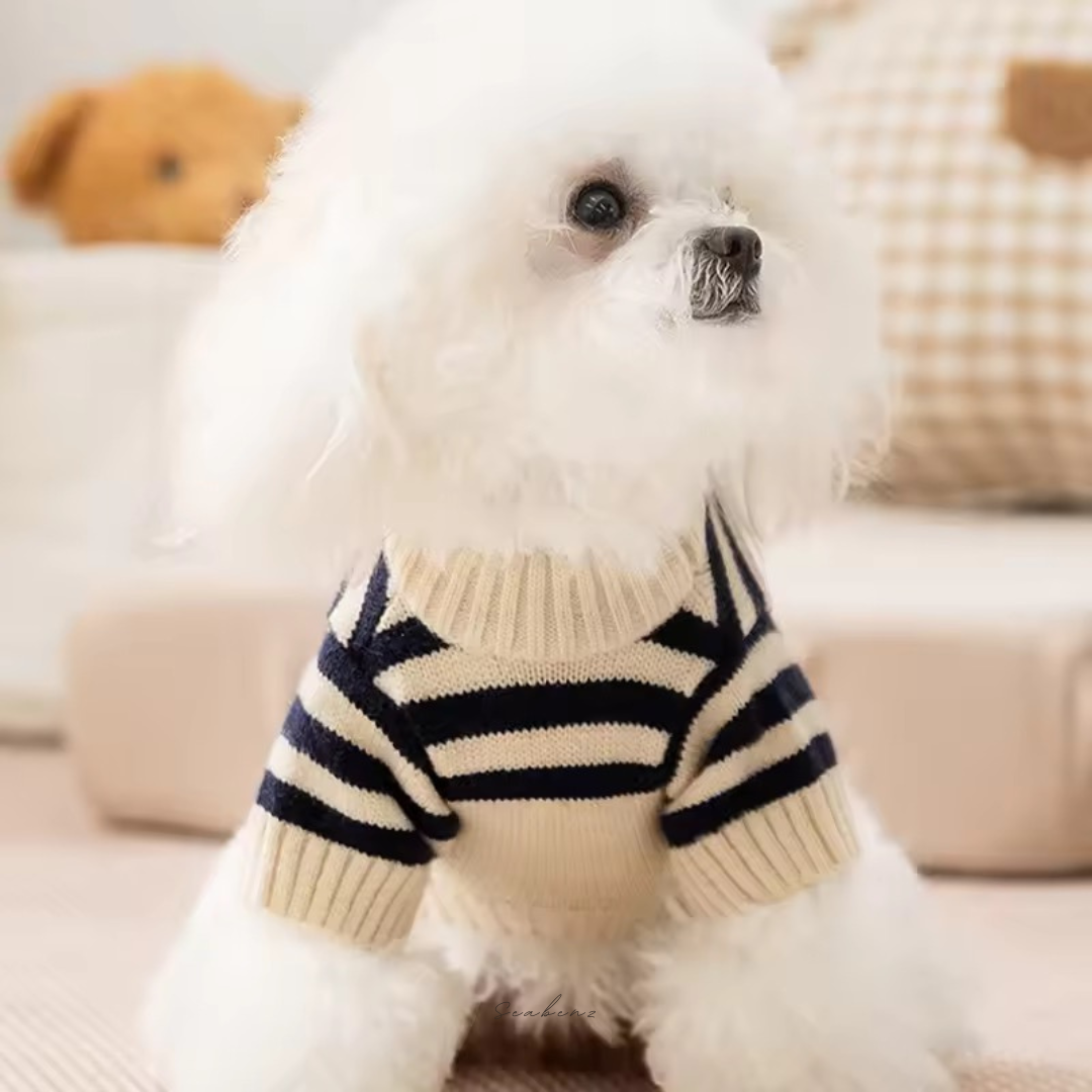 Teddy Trio Sweater