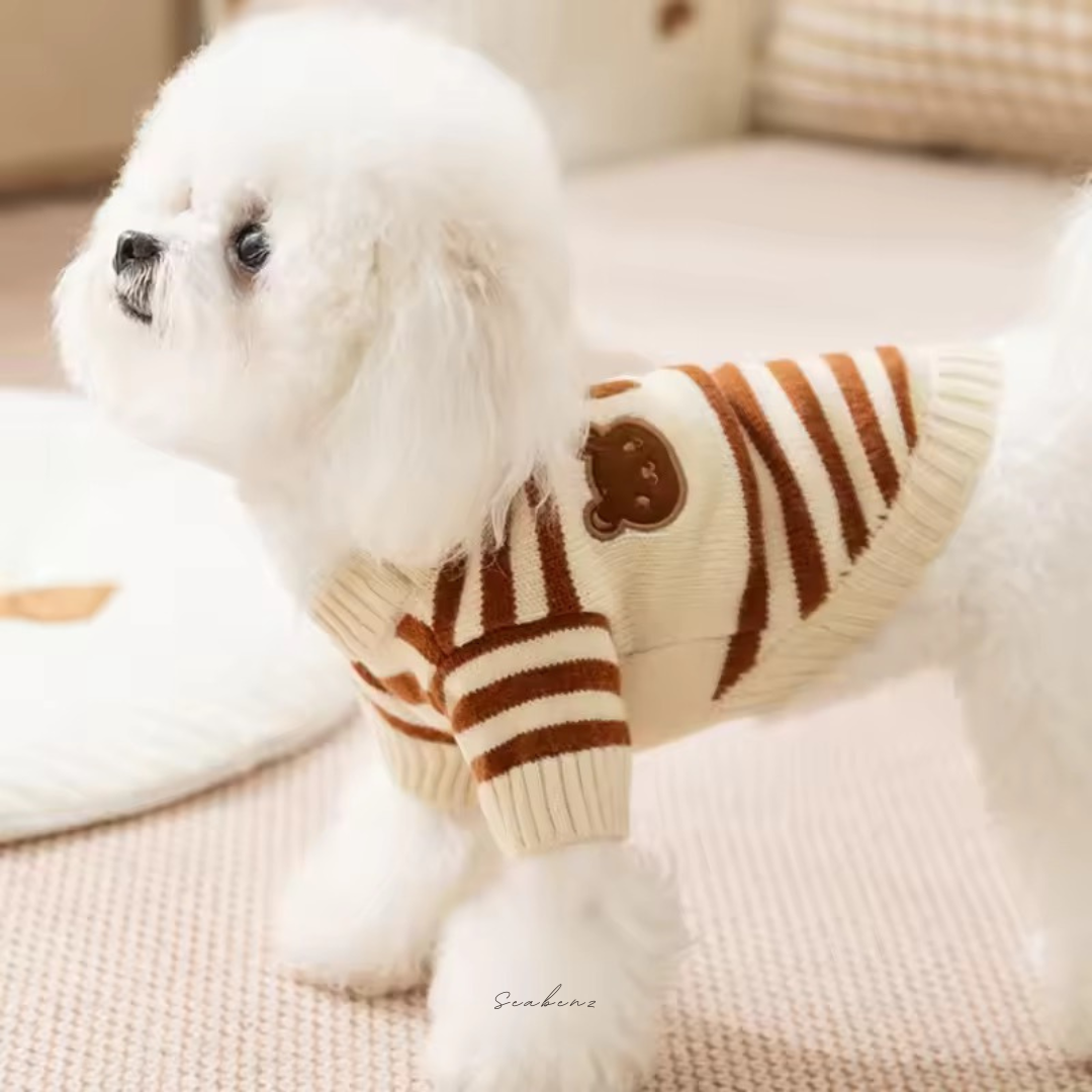Teddy Trio Sweater