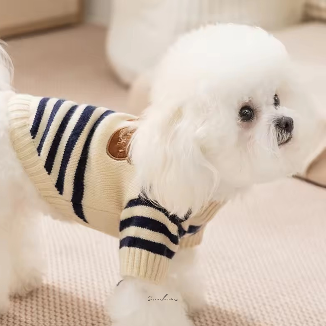 Teddy Trio Sweater