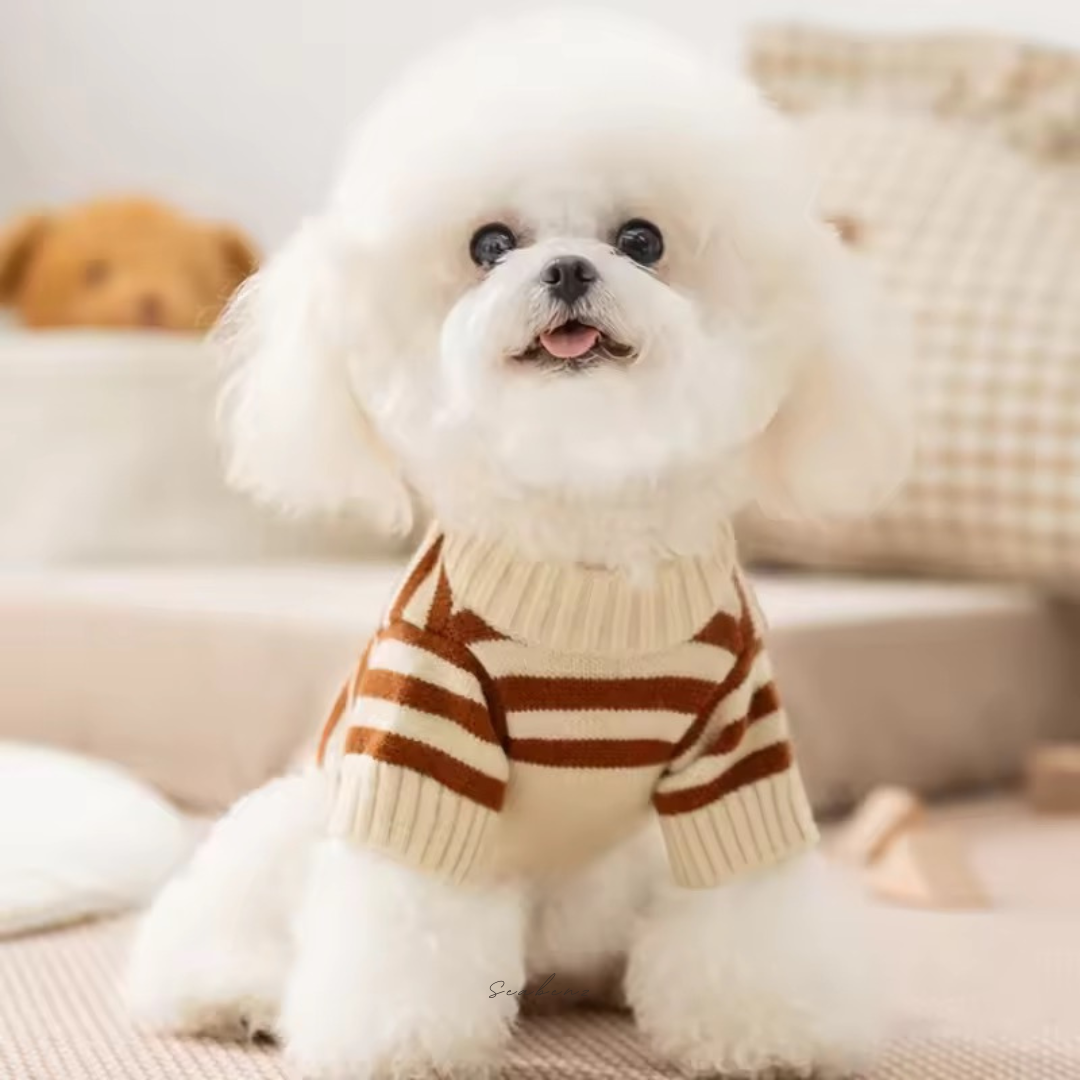 Teddy Trio Sweater
