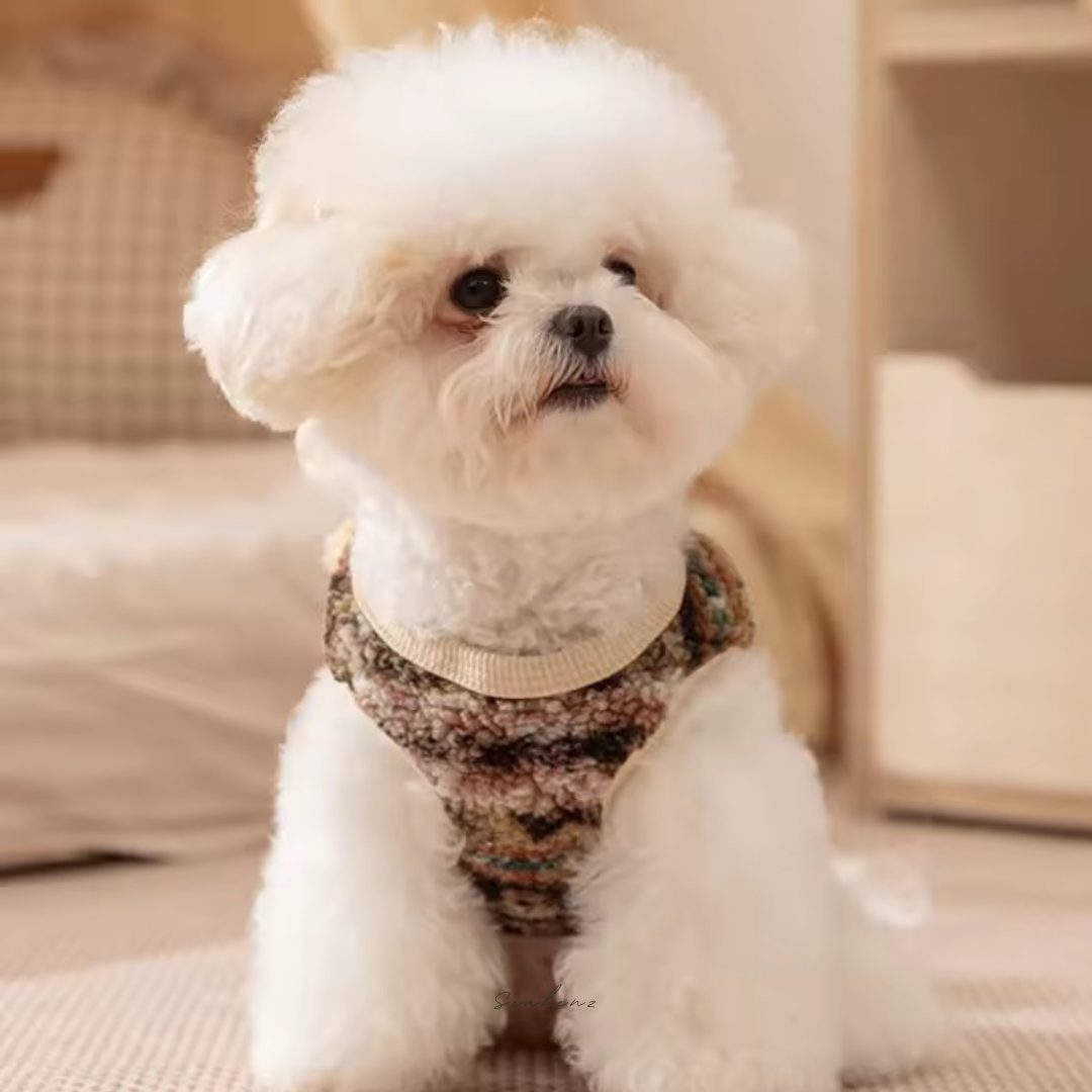 Fluffy Pals Sweatshirt