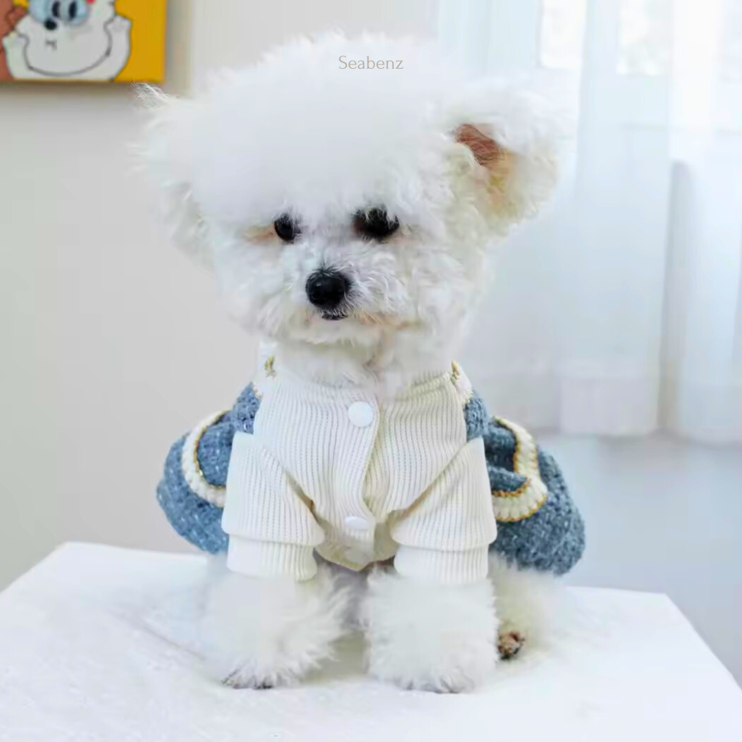 Elegant Winter Pet Dress