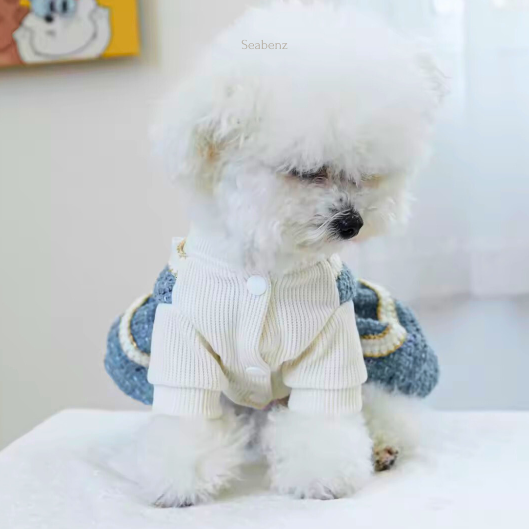 Elegant Winter Pet Dress