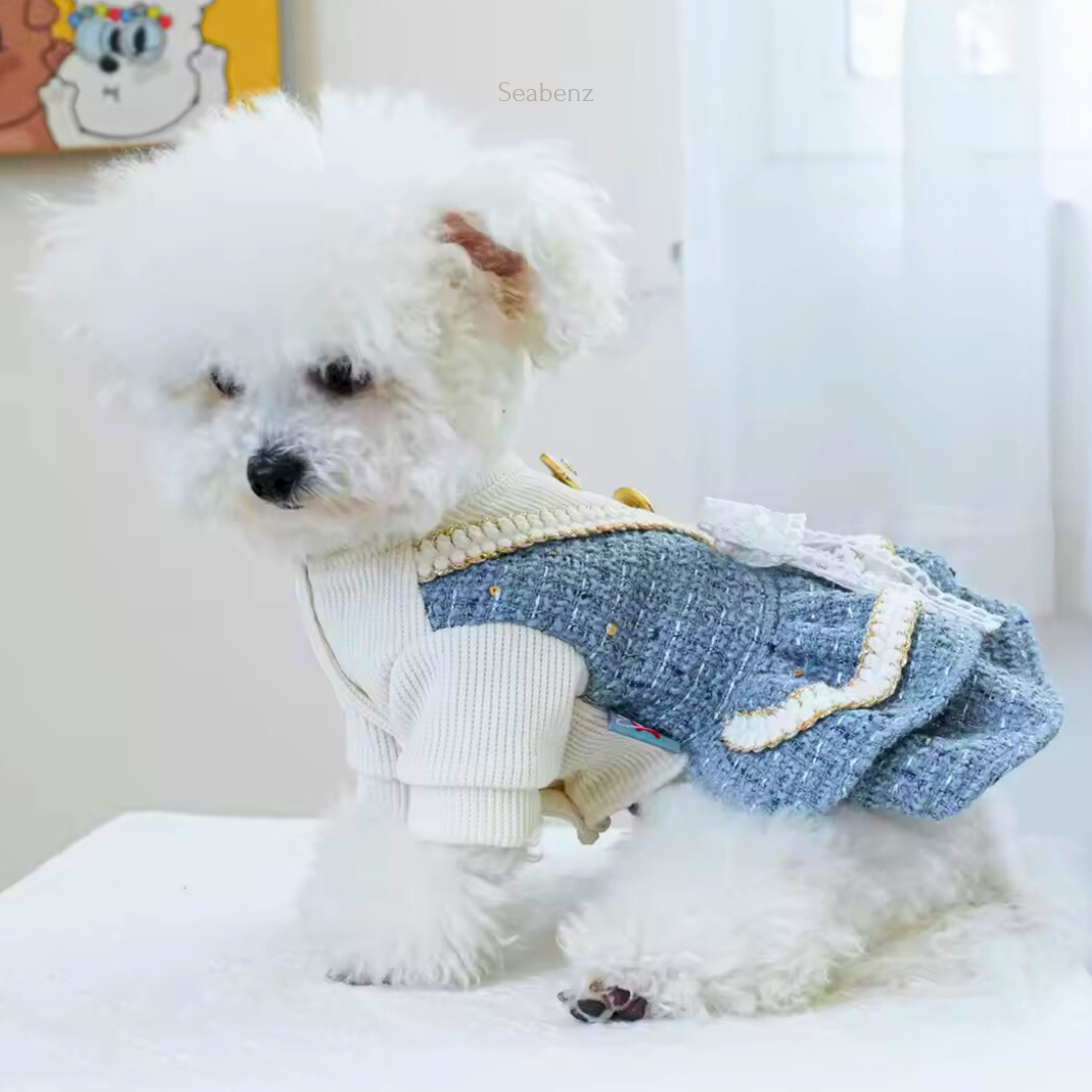 Elegant Winter Pet Dress