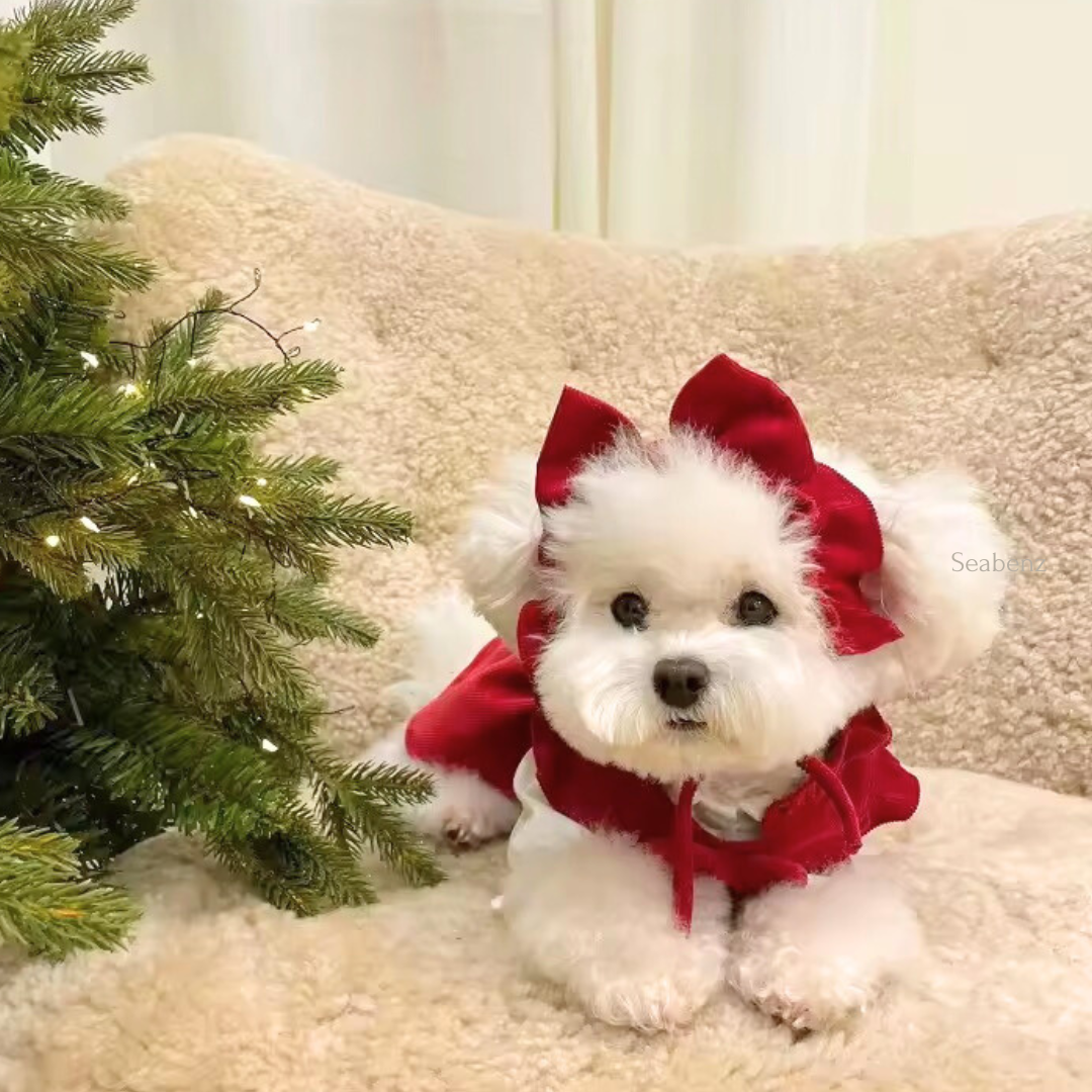 Red Bow Winter Dress