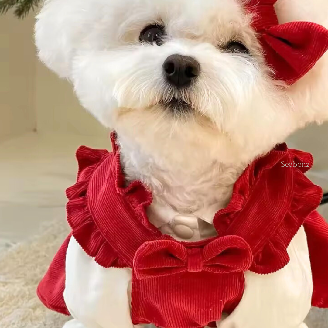 Red Bow Winter Dress