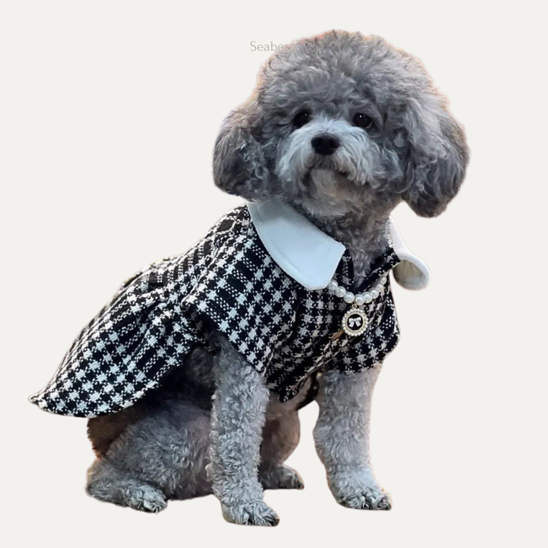 Elegant Pet Tweed Dress