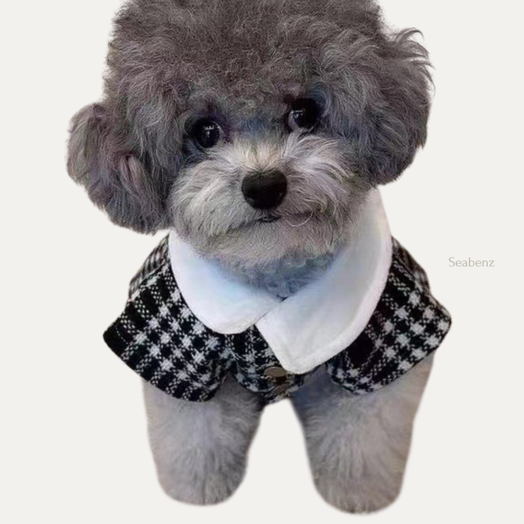 Elegant Pet Tweed Dress