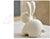 Adorable Rabbit Figurine