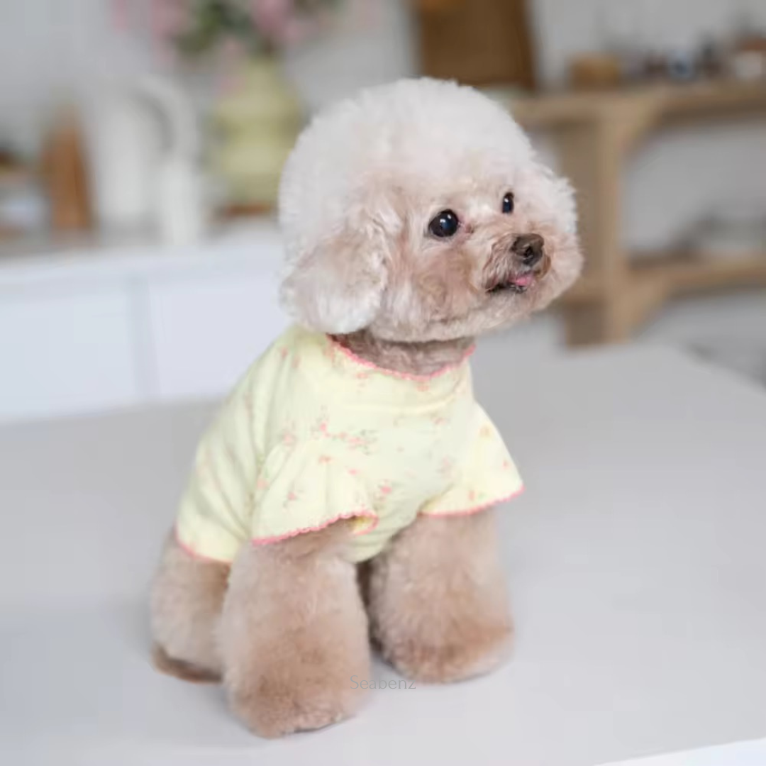 Monica Floral Pet Clothing